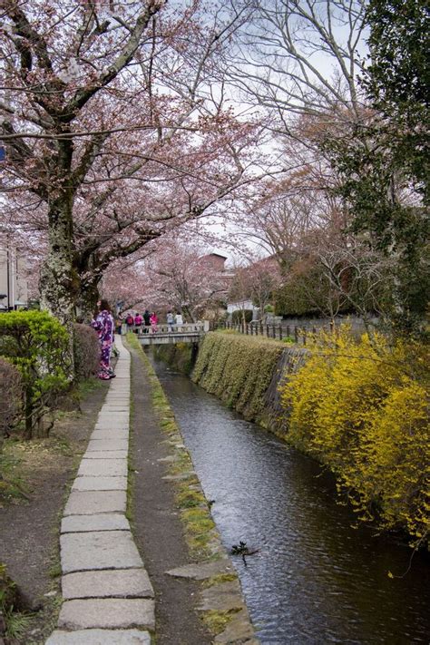 The 5 Must See Sakura Locations in Kyoto, Japan | A Happy Passport ...