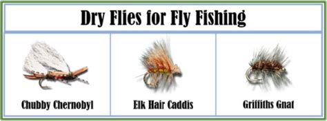 What are the Different Types of Flies in Fly Fishing [12 Proven Flies ...