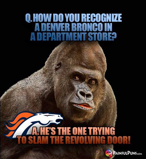 Denver Broncos Jokes and Mile High Humor | PainfulPuns.com