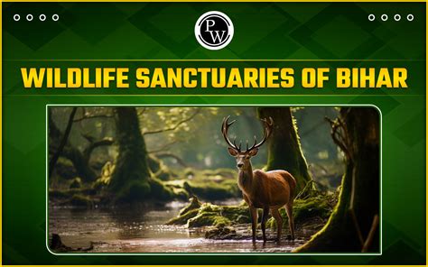 Wildlife Sanctuaries Of Bihar, List Of 10 Wildlife Sanctuaries