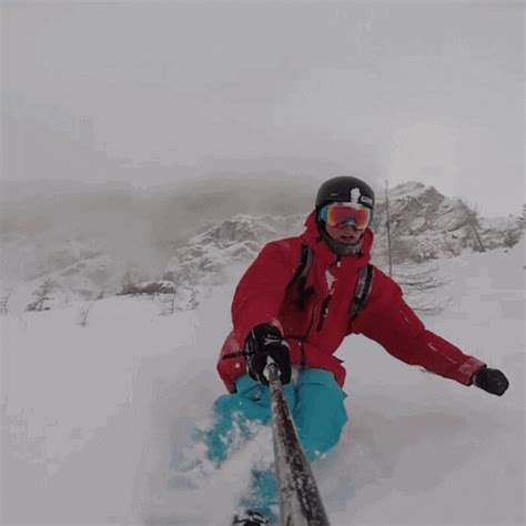 Powder GIFs - Find & Share on GIPHY