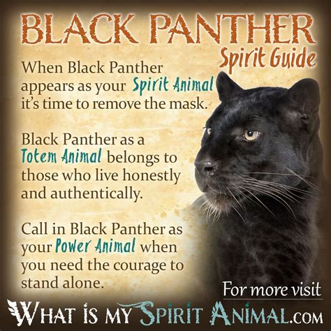 Animal spirit guides, Animal totem spirit guides, Spirit animal totem