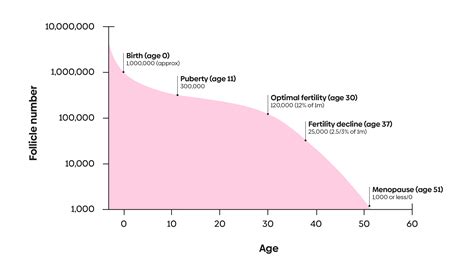 Ovulation Egg Life Span