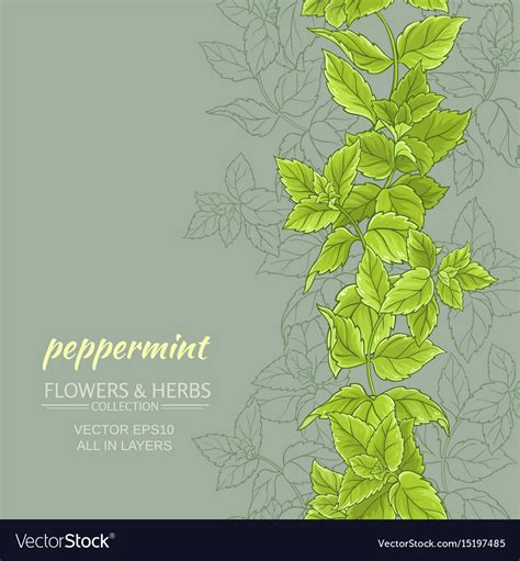 Peppermint background Royalty Free Vector Image