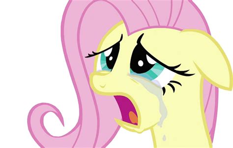 Fluttershy Crying Vector by Belen02 on DeviantArt