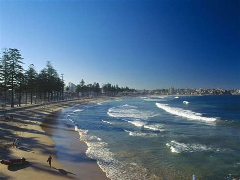 The Ultimate Guide to the Surf in Manly - Surf Atlas