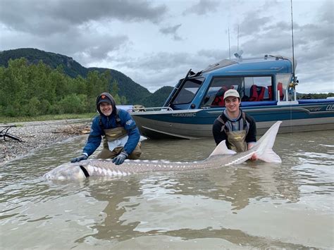 FRASER RIVER STURGEON FISHING REPORT – July 19, 2019