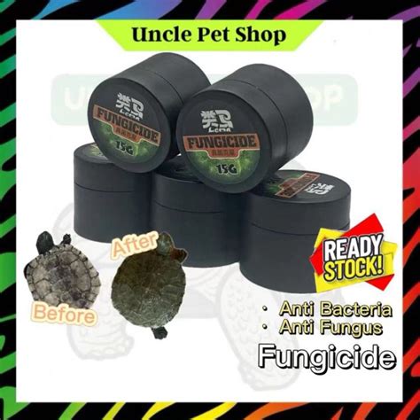 真菌膏 Tortoise Shell Diseases Anti Fungal Turtle Medicine Rotten（陆龟真菌净/腐皮腐甲/背甲白点白斑） | Lazada