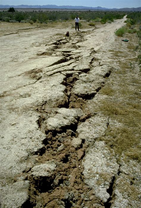 Dirt road offset by surface faulting associated with the 1992 Landers earthquake, San Bernardino ...