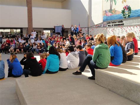 Touching Tribute to Veterans at Palm Harbor Middle School | Palm Harbor ...