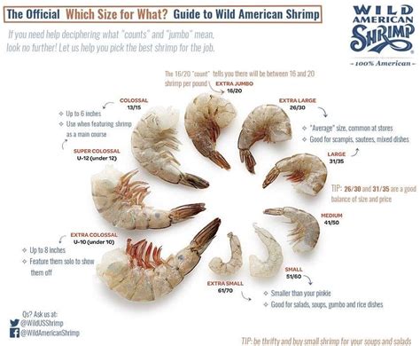 Everything You Need to Know About Shrimp Counts and Sizes - Wild American Shrimp