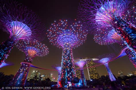 Supertree Grove at Night, Gardens by the Bay, Singapore: dewynter — LiveJournal