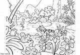 Beautiful Jungle coloring Page sketch template
