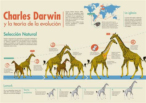 Charles Darwin y la teoría de la evolución | Teoria de la evolucion, Teoría de darwin, Teoria ...