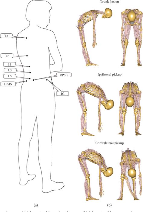 Figure 2 from The Effect of Lumbar Disc Herniation on Spine Loading ...