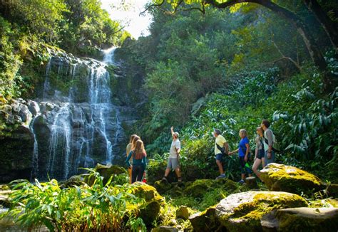 Big Island: Full Day Adventure Tour of the Kohala Waterfalls | GetYourGuide