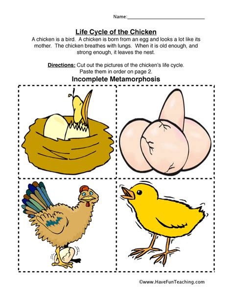 Farm Worksheets | Free Worksheets