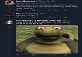 Shocked Turtle / HUH | Know Your Meme