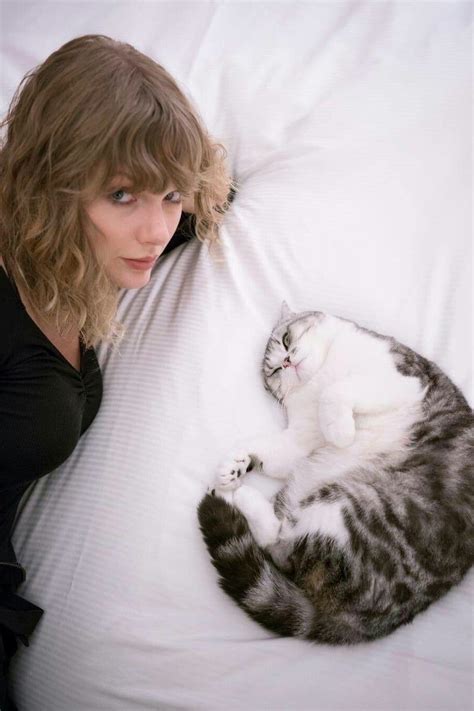 Taylor Swift Brasil É hora de ter Meredith, gata de Taylor Swift, como sua musa - Taylor Swift ...