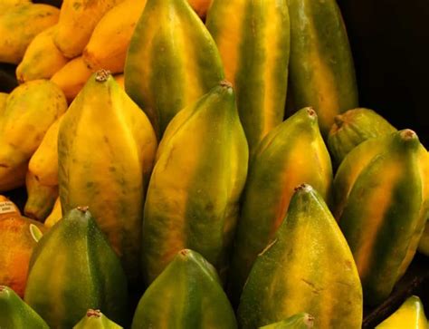 ¿Qué frutas tropicales hay en Ecuador? Vol. 1