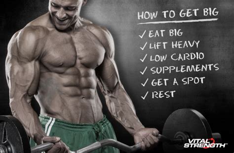 How To Gain Muscle Fast & Get Big in 6 Steps