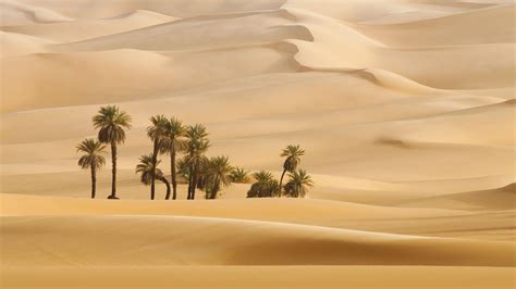 Dubai Desert Wallpapers - Top Free Dubai Desert Backgrounds - WallpaperAccess