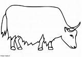 Simple Yak coloring Page sketch template