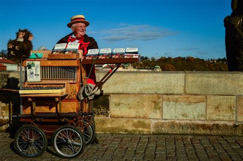 Man on Street Near Cart · Free Stock Photo
