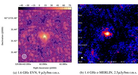 Radio observations of J123642+6121331, illustrating the east-west ...