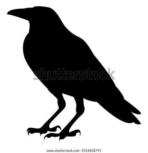 Vector Image Silhouette Raven On White Stock Vector (Royalty Free ...