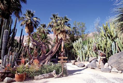 Hidden Treasures: 13 places you must see in Palm Springs | Palm springs ...