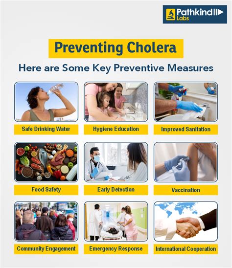 Cholera: Understanding the Disease, Prevention, and Treatment