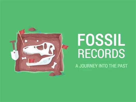 Fossil Records: A Journey into the Past - Earth How