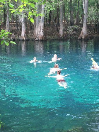 Homosassa River - 2021 All You Need to Know BEFORE You Go (with Photos ...