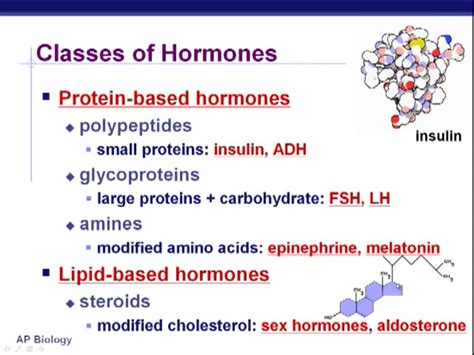 Classes of Hormones Protein Based Lipid Based | Hormones, Endocrine ...