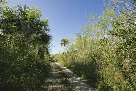 Hiking The Everglades Trails and Photographing Its Beautiful Environment