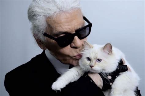 Choupette: How Karl Lagerfield’s cat became the most famous feline in the world | London Evening ...