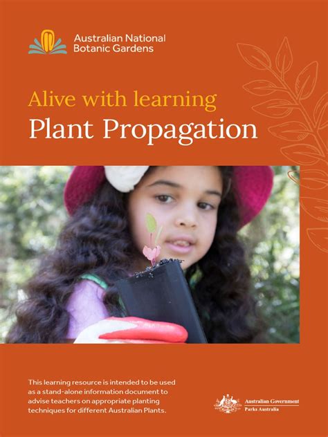 Plant Propagation | Download Free PDF | Seed | Plants