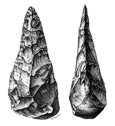 Acheulean Biface - Online Biology Dictionary