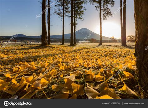 Mount Fuji Sunrise Stock Photo by ©vichie81 137770390