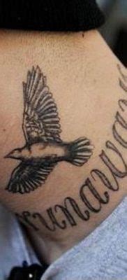 Pigeon tattoo meaning: history, features, photo drawing, sketches, facts