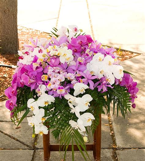 Glorious Orchids Casket Spray | Casket sprays, Funeral flowers, Orchid varieties