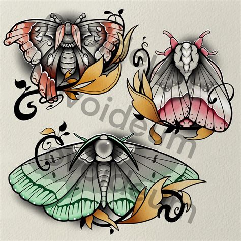 Moth Tattoo Drawing