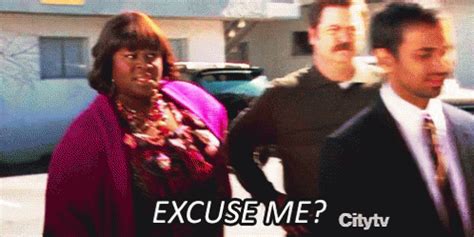 Parks And Rec Rhetta GIF - Parks And Rec Rhetta Donna Meagle - Scopri e condividi GIF