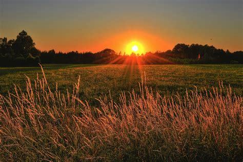 Brown and Green Grass Field during Sunset · Free Stock Photo