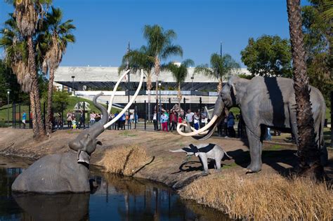 Los Angeles Museums Every Visitor Should See