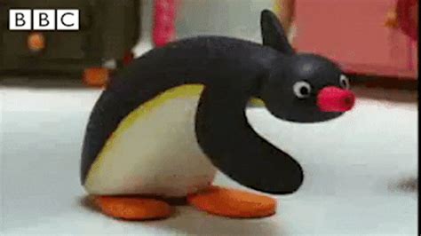 Angry Penguin Valentine Gif - me7a-sagt-ja