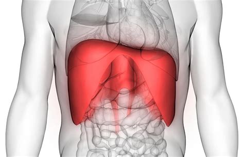 Diaphragm spasm: Symptoms, causes, and treatment