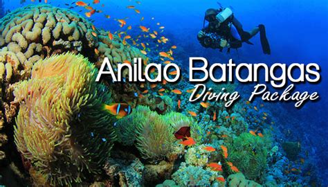 Anilao Batangas Diving Package