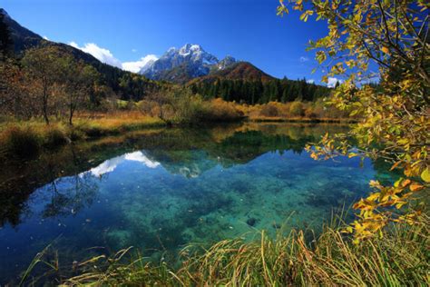 Visit And Explore The Zelenci Nature Reserve In Kranjska Gora, Slovenia